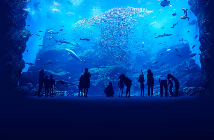 【厳選5選】仙台観光で絶対に訪れるべき観光スポットと街歩きのコツ