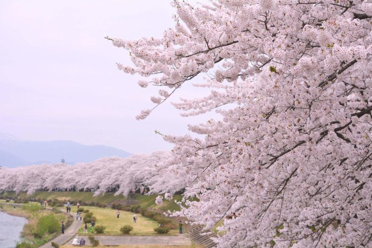 【完全保存版】日本各国のお祭りを一挙ご紹介！（おすすめ31選）