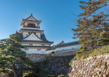 【厳選5選】高知観光でおすすめの観光地と街歩きのコツをご紹介