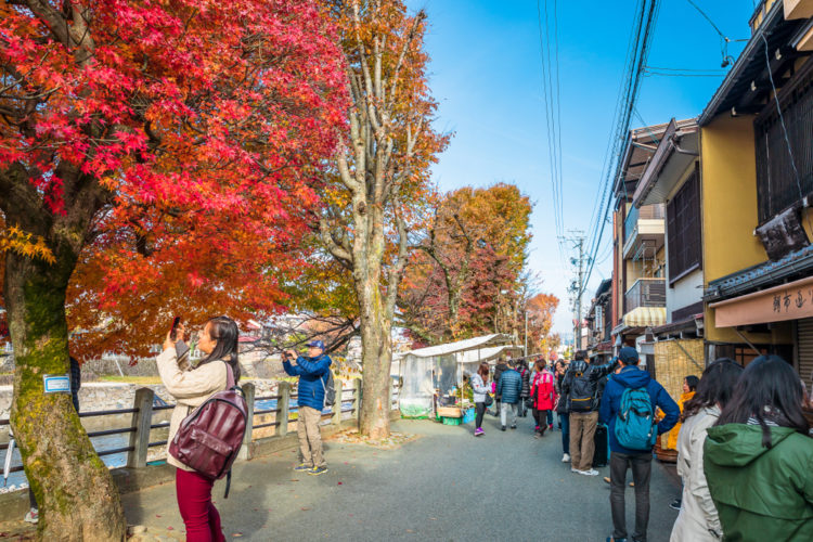 31 Festivals in all of Japan! Fun things to do