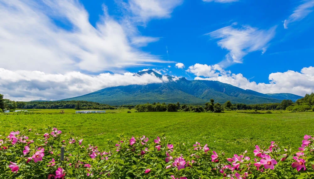 厳選5選 岩手観光でおすすめの観光地と街歩きのコツをご紹介 Discover Ltd