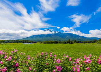 【厳選5選】岩手観光でおすすめの観光地と街歩きのコツをご紹介