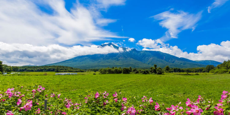 【厳選5選】岩手観光でおすすめの観光地と街歩きのコツをご紹介