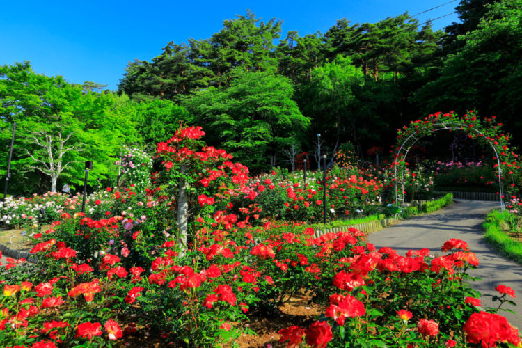 【厳選5選】岩手観光でおすすめの観光地と街歩きのコツをご紹介
