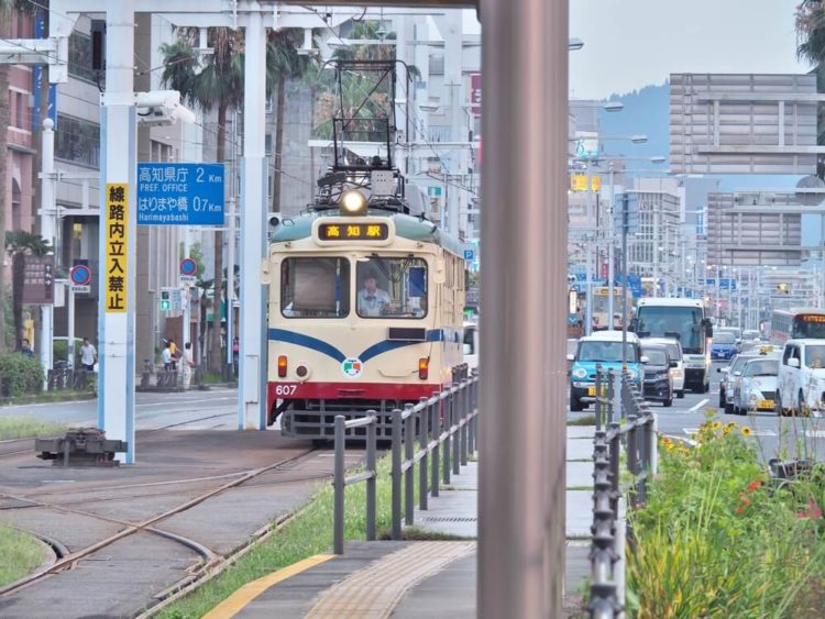 【厳選5選】高知観光でおすすめの観光地と街歩きのコツをご紹介