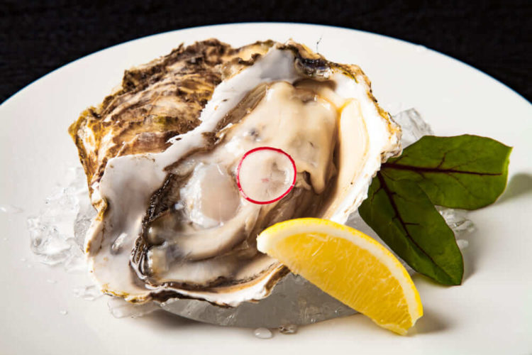 【広島グルメ】広島で美味しいグルメを楽しむならここ！おすすめの食べ物やお店を紹介