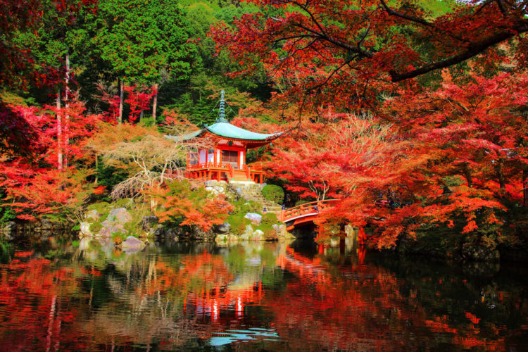 【TOP 8】Travel Guide in Kyoto Tips for walking around the city