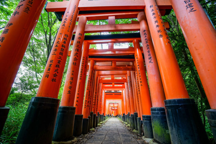 【TOP 8】Travel Guide in Kyoto Tips for walking around the city