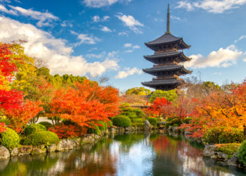 【TOP 8】Travel Guide in Kyoto Tips for walking around the city