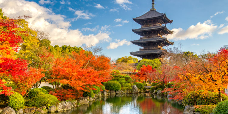 【TOP 8】Travel Guide in Kyoto Tips for walking around the city