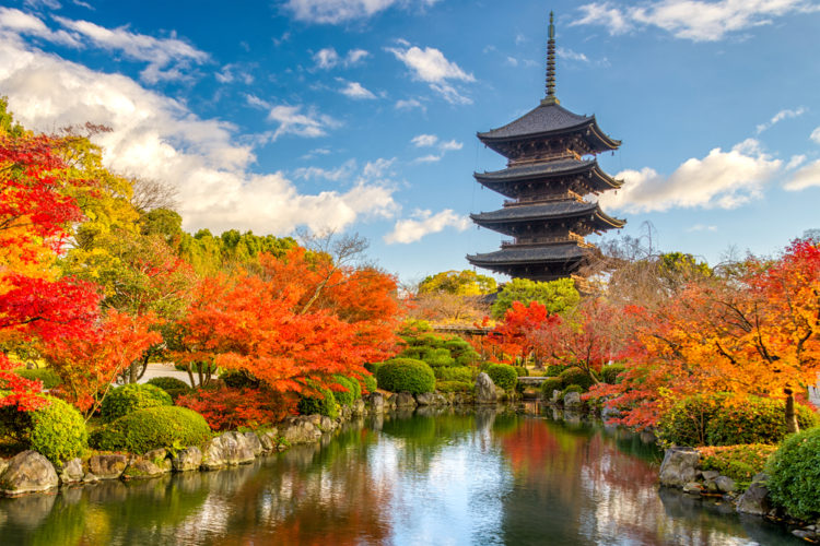 【TOP 8】Travel Guide in Kyoto Tips for walking around the city