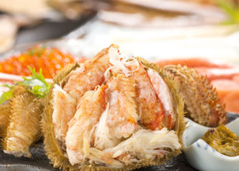 【札幌観光】札幌でおいしいグルメ5選！おすすめのレストランも紹介します