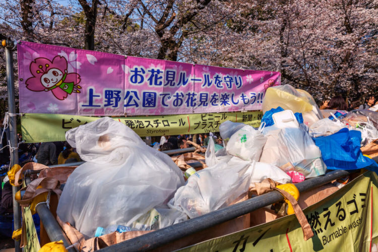 【おすすめ7選】東京の人気お花見スポット！イベント情報と注意点
