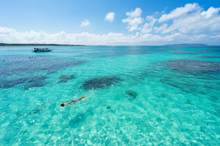 【Top 5】Okinawa Sightseeing Spots and the Tips for walking around the city