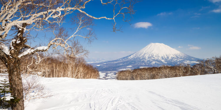 【完全保存版】北海道・ニセコの魅力と外国人に大人気の理由は?