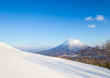 What makes Hokkaido Niseko so attractive and why is it so popular with foreigners?