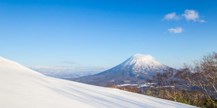 What makes Hokkaido Niseko so attractive and why is it so popular with foreigners?