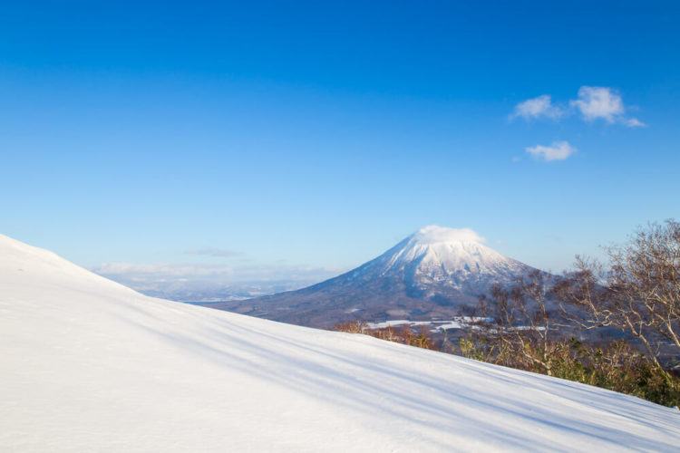 What makes Hokkaido Niseko so attractive and why is it so popular with foreigners?