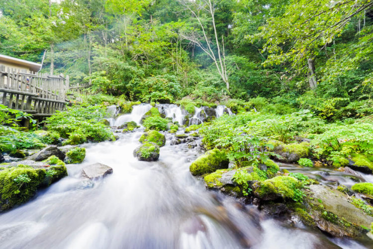 【完全保存版】北海道・ニセコの魅力と外国人に大人気の理由は？