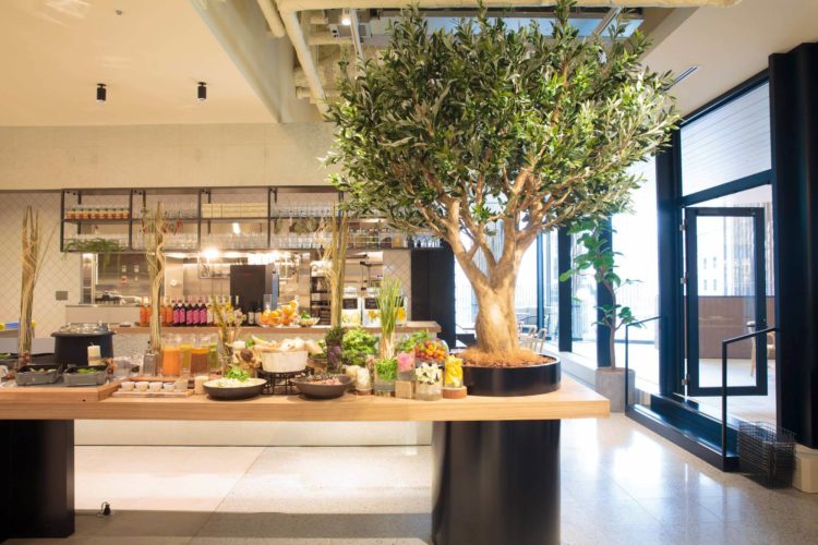 【おすすめ10選】東京のベジタリアン・ヴィーガン店（最新版）