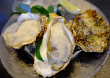 【Restaurant in Hiroshima】5 local foods to eat during Hiroshima sightseeing