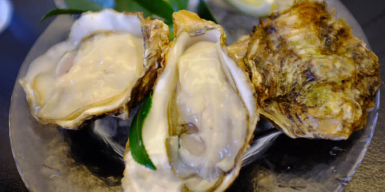 【Restaurant in Hiroshima】5 local foods to eat during Hiroshima sightseeing