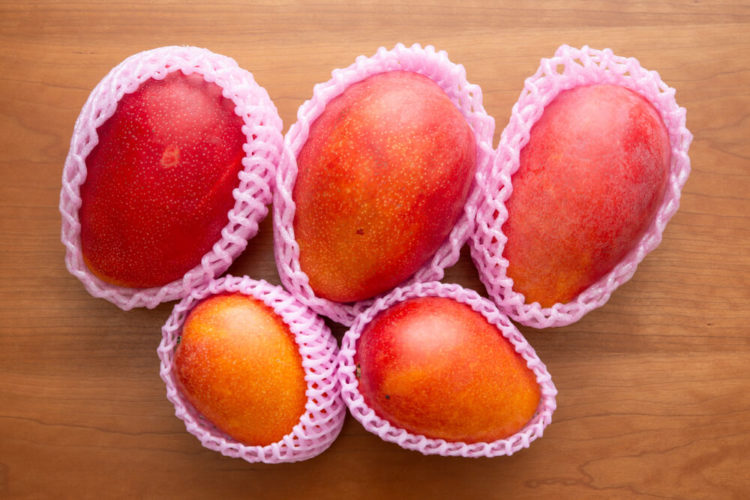 【宮崎グルメ】宮崎観光で絶対に食べたいご当地グルメ7選！【おすすめのレストラン】