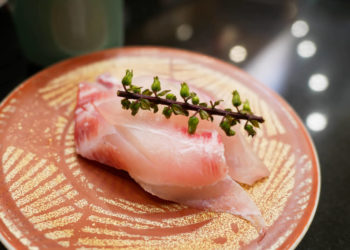 【Top 7】Delicious conveyor belt sushi Restaurants in Tokyo