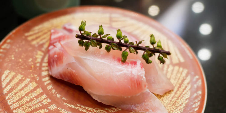 【Top 7】Delicious conveyor belt sushi Restaurants in Tokyo