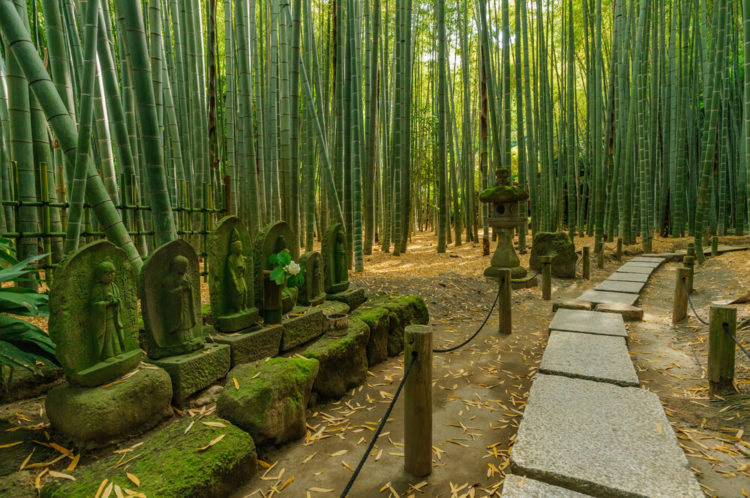 【厳選8選】自然とおしゃれが同居する鎌倉！観光スポットと街歩きのコツ