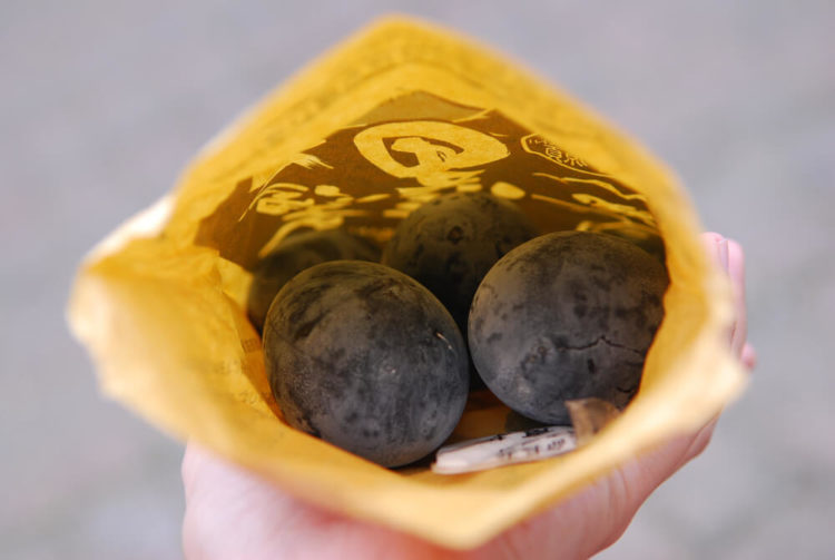 【厳選6選】箱根でリゾート気分！人気の観光スポットと街歩きガイド