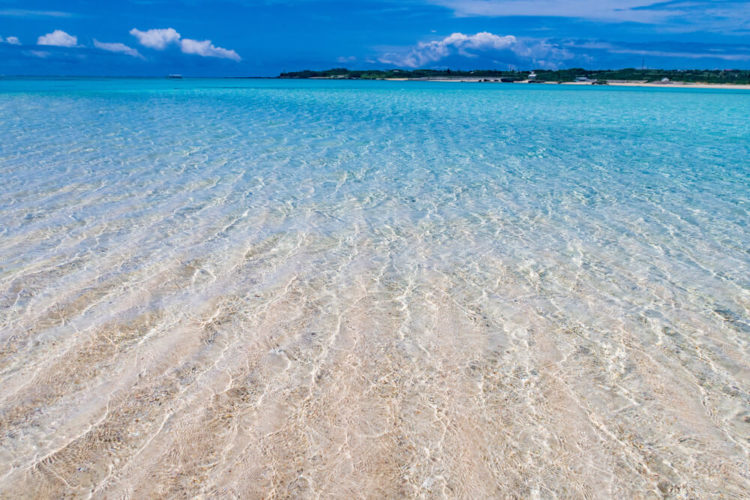 【厳選7選】鹿児島で絶対に外せない観光スポットと街歩きを楽しむコツ