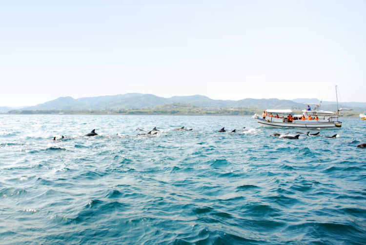 【厳選6選】熊本で絶対に訪れるべき観光スポットと街歩きのコツ