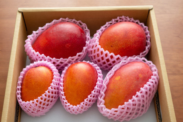 【厳選7選】宮崎観光はどこへ行く？おすすめ観光スポットと街歩きガイド