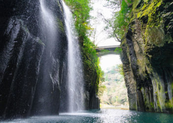 Let’s feel tropical in Miyazaki! Must-see 7 Sightseeing spots and Travel tips in