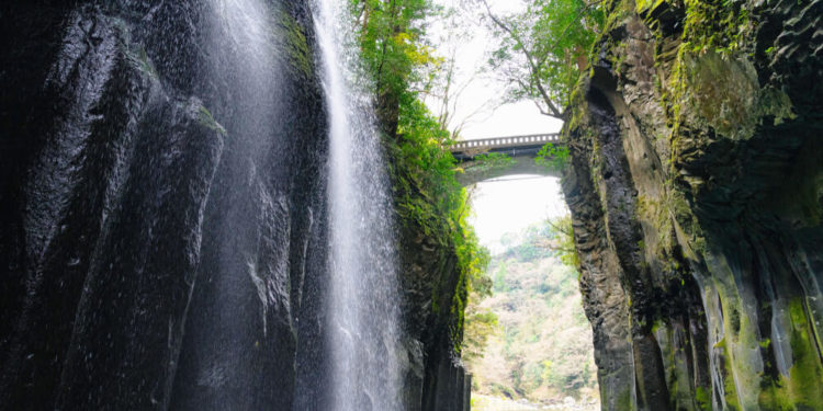 Let’s feel tropical in Miyazaki! Must-see 7 Sightseeing spots and Travel tips in