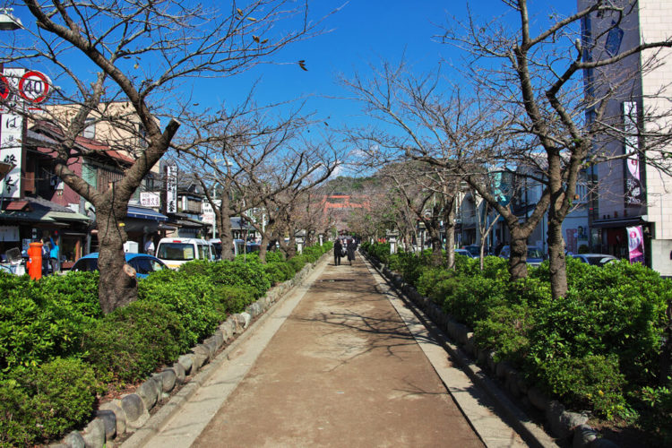 【厳選8選】自然とおしゃれが同居する鎌倉！観光スポットと街歩きのコツ