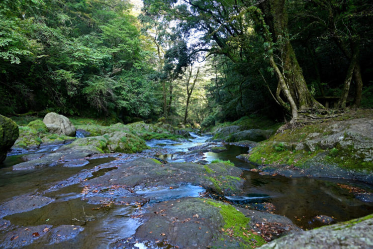 【厳選6選】熊本で絶対に訪れるべき観光スポットと街歩きのコツ