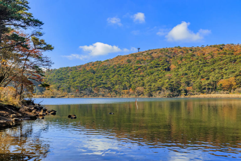 Let's feel tropical in Miyazaki! Mustsee 7 Sightseeing spots and Travel tips in DISCOVER Ltd.