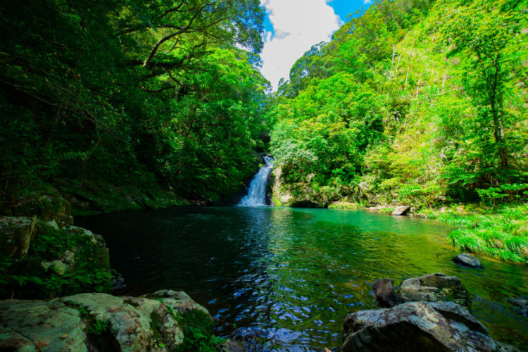 【厳選7選】鹿児島で絶対に外せない観光スポットと街歩きを楽しむコツ