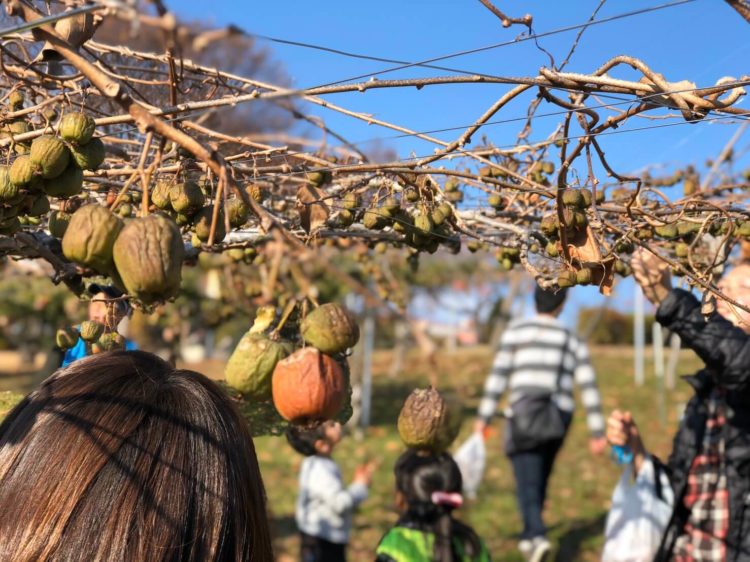 山梨のおすすめ観光スポットは？人気おすすめランキング11選をご紹介