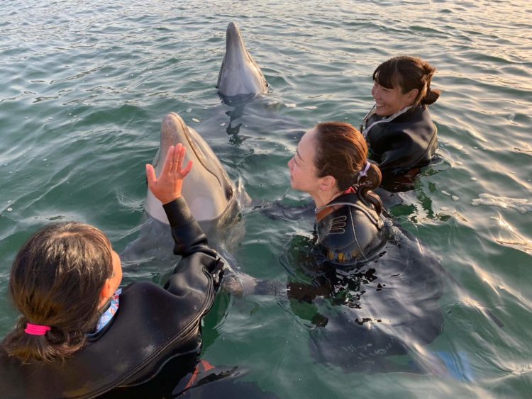 【完全保存版】隠れた名所の宝庫！香川旅行のおすすめ観光スポット６選