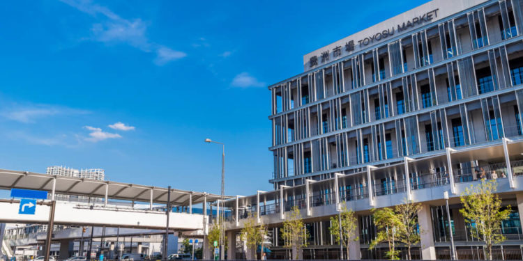 Toyosu Fish Market – Let’s check recommended tour and restaurants