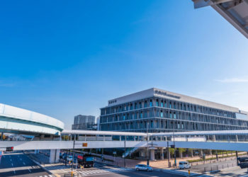 【完全保存版】豊洲市場を観光！おすすめのツアーやお食事処を紹介します