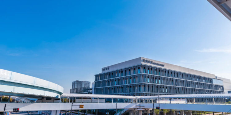 【完全保存版】豊洲市場を観光！おすすめのツアーやお食事処を紹介します