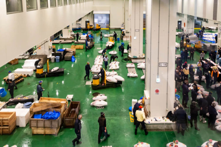 【完全保存版】豊洲市場を観光！おすすめのツアーやお食事処を紹介します