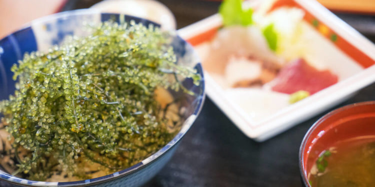 Recommended Local Gourmet Food and Restaurants while Sightseeing in Okinawa