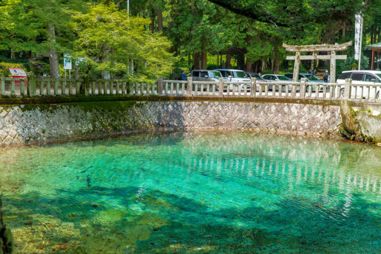 【おすすめ観光地６選】海の幸と絶景スポットが魅力の山口県へ行こう！