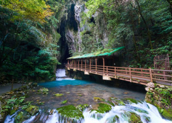 【おすすめ観光地６選】海の幸と絶景スポットが魅力の山口県へ行こう！