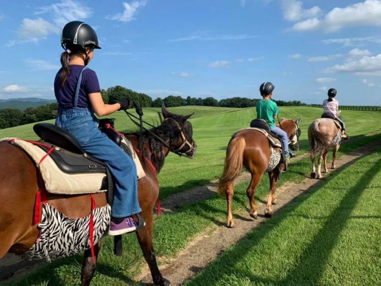 【完全保存版】栃木県の人気観光スポットと街歩きのコツ！東京から日帰りもOK